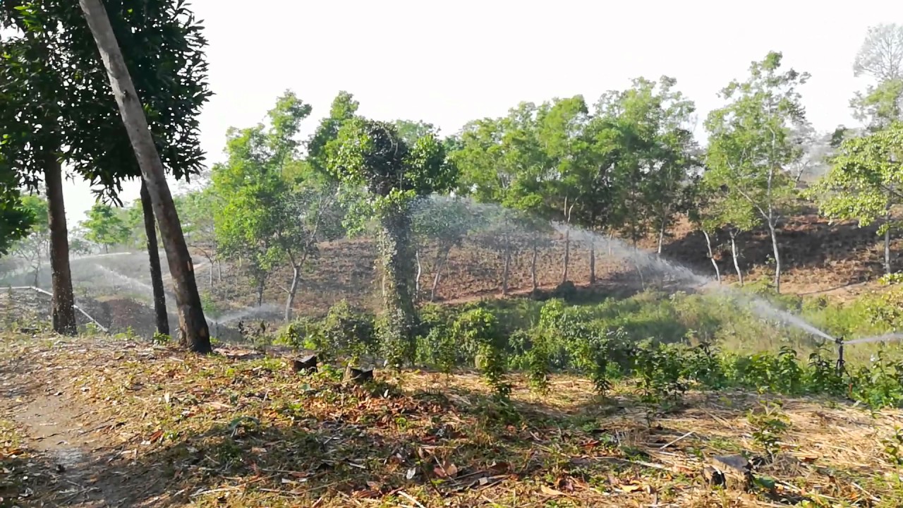 Solar powered Tea irrigation (sprinkler drive) project YouTube