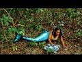 BINTI NGUVA YA ZEBUU NI BALAA KP MZEE LIKOMA HAPATOSHI Subscribe Mapemaaaa Maajabu 