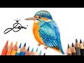 Eisvogel zeichnen lernen 🐥 Vogel malen 🐦 How to Draw a Kingfisher 🐟 Как се рисува Земеродно рибар