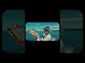 Catch & Release Fishing in Paradise 🌊