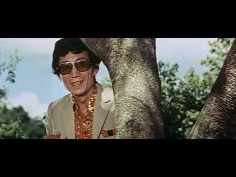 Combat dehors Bruce Lee La Fureur du Dragon VF René Château