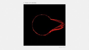 MAGPIE - (Official Video)