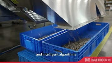 TAIHO AI Deep Learning Series Color Sorter, Global Intelligent AI Vision Specialist! #taihosorter