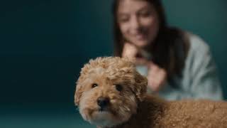 VCA Canada Anthem | 7 Second Spot | People Behind the Pets | Veterinarians & Animal Hospitals
