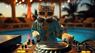 Download Lagu DJ Miaww | Lounge Jazz House Coolest Cat DJ Set - Cozy Night Mix MP3 Download Lagu DJ Miaww | Lounge Jazz House Coolest Cat DJ Set - Cozy Night Mix MP3