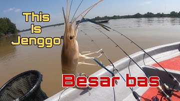 Vlog #20 mancing udang galah || Jenggo di sungai Perak || Teluk intan