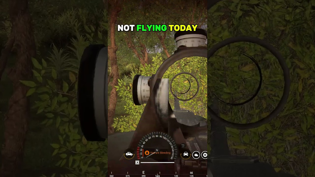 Patrolling In A Tiger Turned Into a Full Wipe