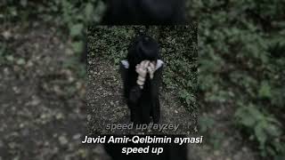 Javid Amir-Qelbimin aynasi (speed up) Resimi