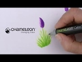 Marker Chameleon Tonuri Multiple
