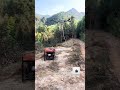 Must-See Drone Transportation 🚁 Drone Mule #Innovations Construction #Tools #DroneLife #EpicRC