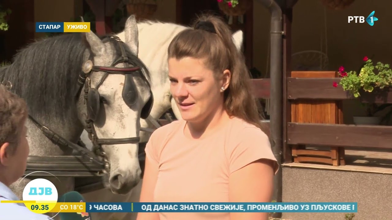 U Steparu za vikend 17. Fijakerijada