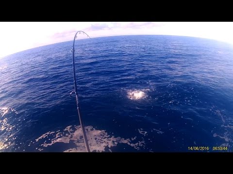 Shore jigging. Vu