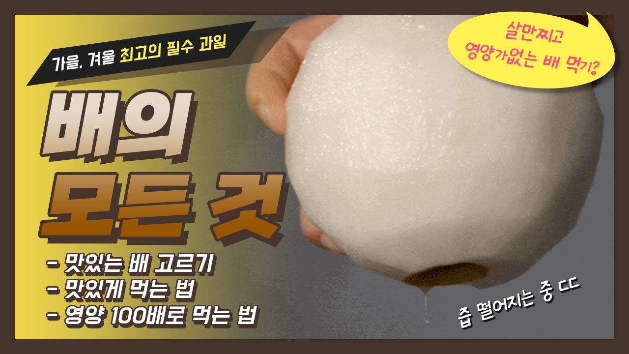 [월간과일] 맛있는 배의 모든 것을 알려드려요 - 칼로리 외 10% 밖에 못 섭취한 영양분 100% 섭취하기, 맛있는 배 고르기 ...