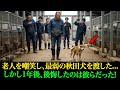 彼らは、老人を嘲笑するために、牧場で一番弱い秋田犬を渡しました...しかし、1年後、後悔するのは彼ら自身だったのです。