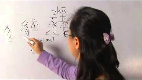 Chinese Symbols for Pig