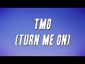 Luude &amp; Bru-C - TMO (Turn Me On) ft. Kevin Lyttle (Lyrics)