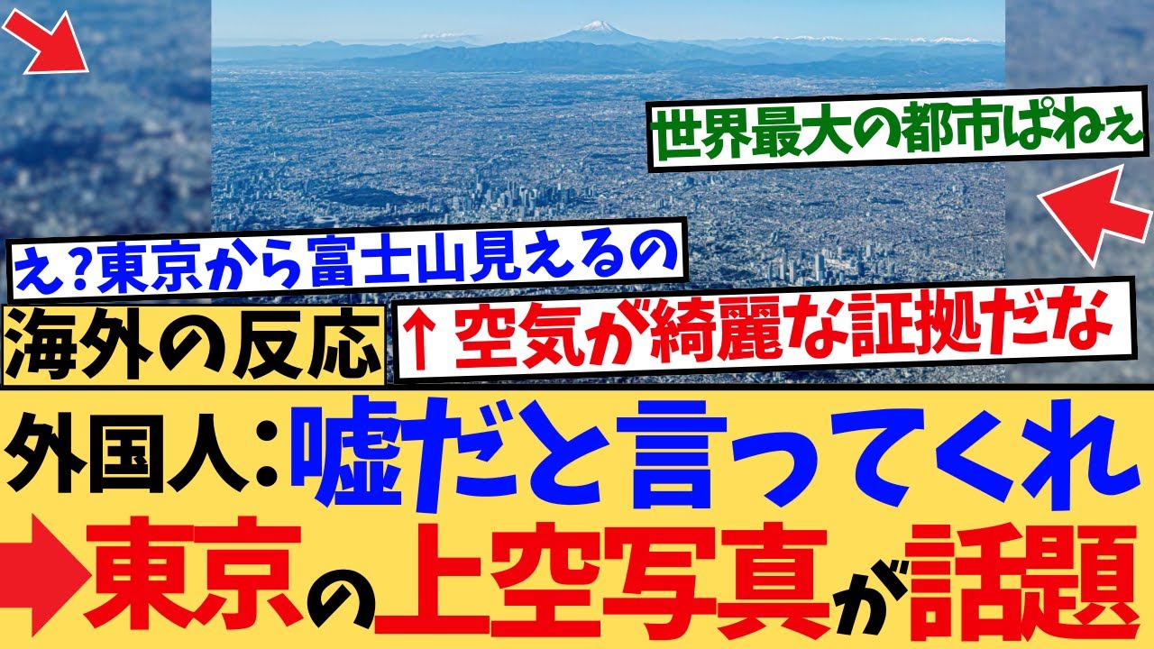 【海外の反応】「都市の中に自然、空の先に富士」──“輪郭なき構造体”・東京の上空写真に海外が絶句、「都市って言葉じゃ足りない」と賞賛と混乱の声