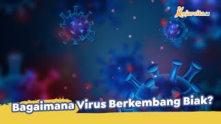 Bagaimana Virus Berkembang Biak? | Contoh Soal Materi Cara Hidup dan Reproduksi Virus | Biologi SMA