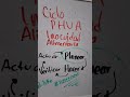 planear hacer verificar y actuar ISO 22000 circulo de calidad ciclo planear hacer verificar actuar