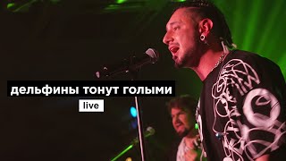 Дима Корсо - Дельфины Тонут Голыми (Live)/ Концерт В Москве 27.04.24