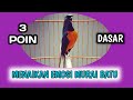 Tips menaikan EMOSI MURAI BATU