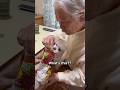 Japanese grandparents try Indian snacks for the first time 🤯🇯🇵🇮🇳 #japanese #shorts #indianfood