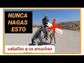 NUNCA CUARTIES UN CABALLO Q NO QUIERE CAMINAR, como hacer q camine un caballo que se reusa