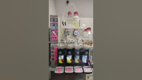 Vapourtec cascade of 4 CSTR