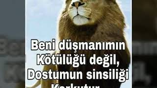 Tevekkul Berdeli Qardas Mugani Bacilar Mahnisi Sen Mahni Yeni 201