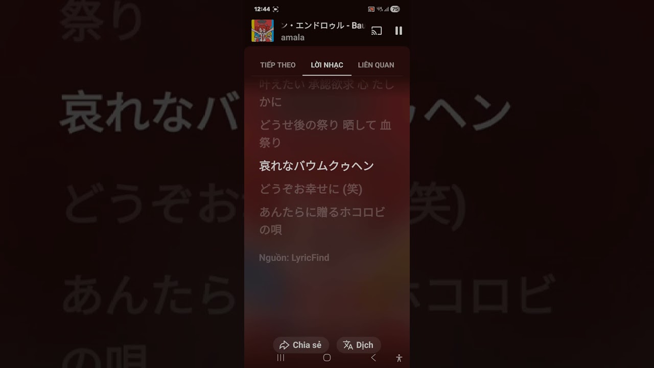 VIDEO chính từ việt nam và nhật bản