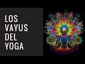 ¿Qué son los "Vayus" en la Cultura Yóguica?