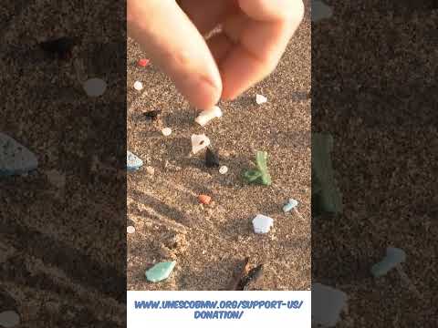 Pollution Poisoning Our Planet One Drop At A Time Ecosystem Abuse Pollution 