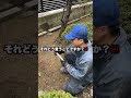 また怒られてしまいました、、、w【植木屋　庭師　草刈り　草抜き　道具の使い方　作業のやり方】