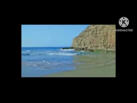 رحلت إلى بحار العشق بصوت الطفل نصر الدين دملخي