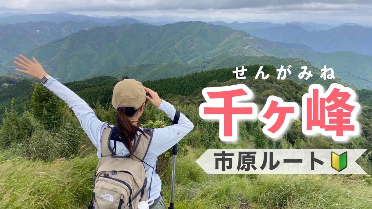 【千ヶ峰】2時間で往復できる初心者向け登山⛰千ヶ峰～市原ルート～【兵庫県多可郡】