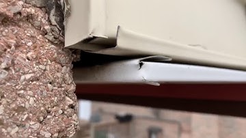 Very Common Mouse Entry Point