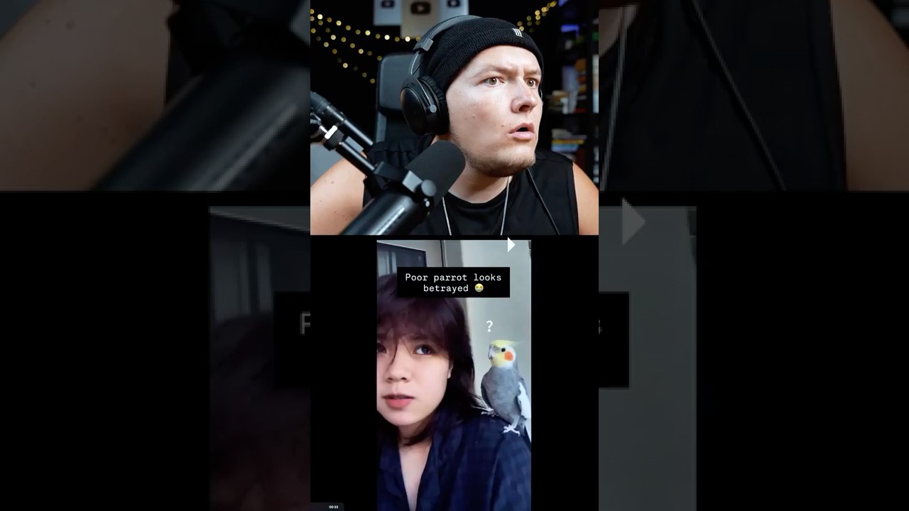 Parrot loves Beatbox #beatbox #tiktok