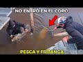 2 DÍAS de PESCA Y COCINA en la ISLA, ESTO PESCAMOS | Río la Tinta, Cocina de Peces, Acampe