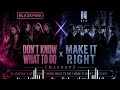 Don't Know What To Do X Make it Right - Black Pink X BTS [MASHUP Acoustic Cover]