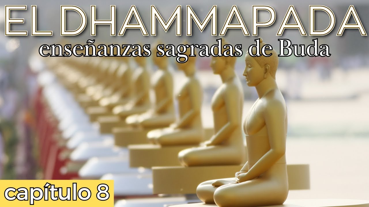 El Dhammapada - enseñanzas de Buda - Capítulo 8: El millar - YouTube