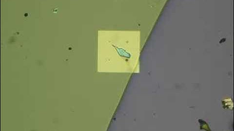 All-dry deterministic transfer of two-dimensional materials