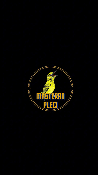 BURUNG PLECI NGEBREN KENARI MILIK OM Ryan DjAbrix z BALI #plecigacor #pleci #plecinembak #dakbal