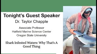 SHARK INFESTED WATERS: WHY THAT’S A GOOD THING