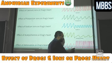 Effects of Drugs & Ions on frogs heart- Amphibian Experiments. #mbbs #physiology #practical