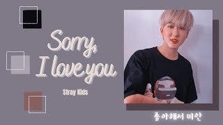 [1시간/ 1 HOUR LOOP] Stray Kids - Sorry, I Love You (좋아해서 미안)