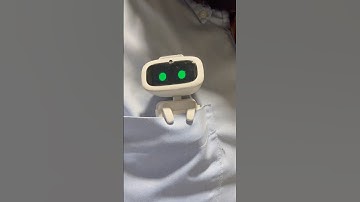 Meet Aibi the cutest Ai pocket pet companion you can travel with oh She’s also my robot best friend