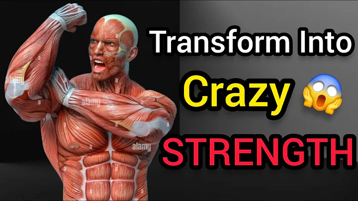 Top 6 Exercises to Get Stupid STRONG! Shocking results!