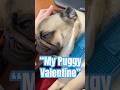 🐶🎶🩷 Pug Love Songs: “My Puggy Valentine”