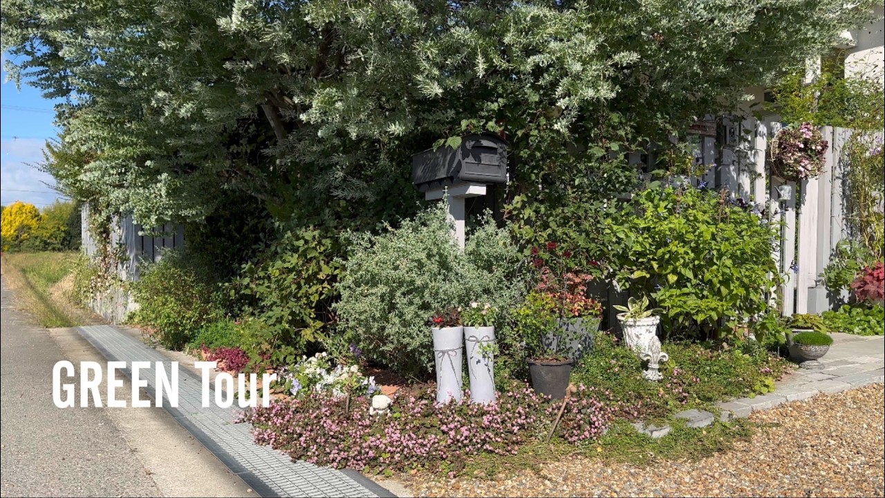 雑草抜きいらずポリゴナムの絨毯にしちゃえば可愛いくて管理も楽！秋冬色のフレンチカントリーのお庭は田園風景に突如現れるお洒落空間！| hananone | 園芸/ガーデニング店巡り | 兵庫/ 加古郡