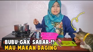Spesial Idul Adha | Anabul Makan Daging Sapi Qurban